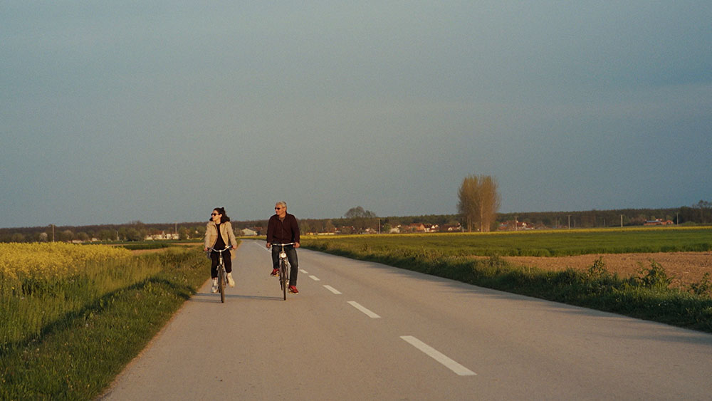 A YEAR OF ENDLESS DAYS / UN AÑO DE DÍAS SIN FIN