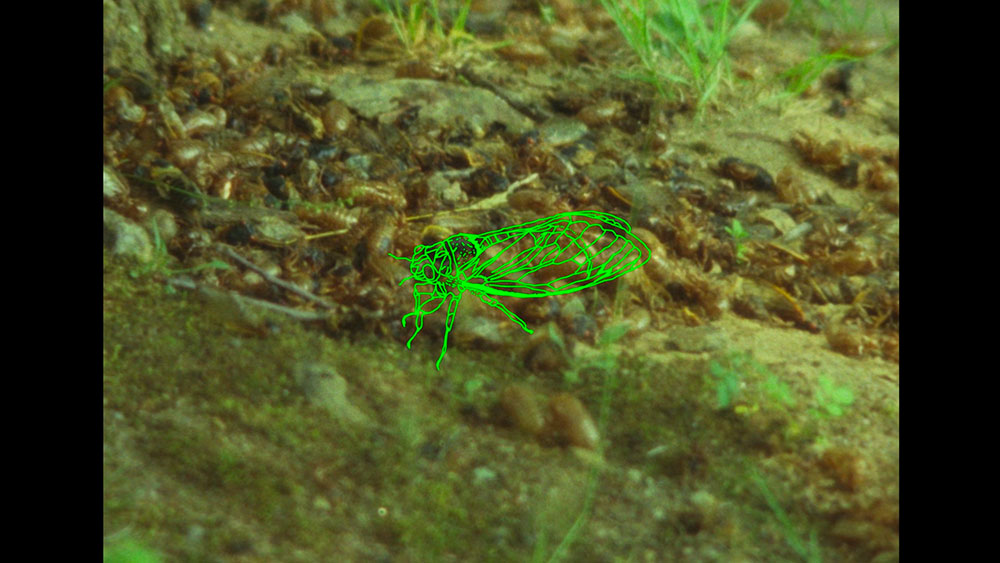 EASTERN ANTHEMS / CANTOS DEL ESTE