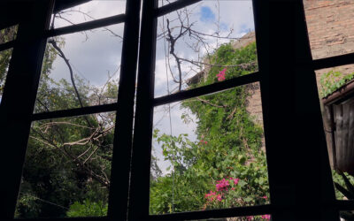 CARTAS A MIS PADRES MUERTOS