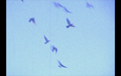 EL VIENTO Y TODOS LOS TIEMPOS + CONVERSATORIO