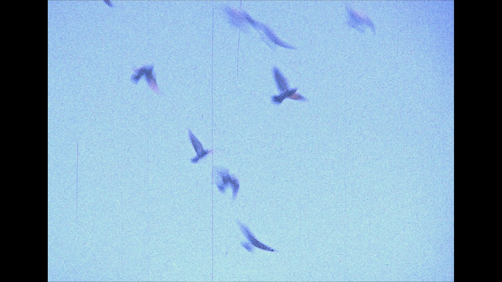 EL VIENTO Y TODOS LOS TIEMPOS + CONVERSATORIO