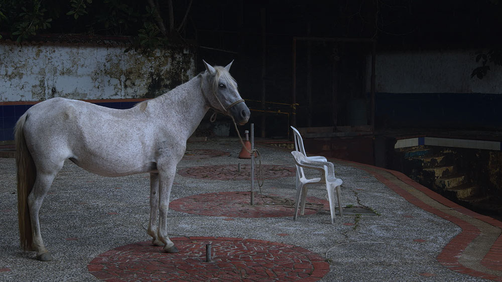 FORENSES + CONVERSATORIO