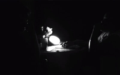 PÁJAROS DE LA NOCHE