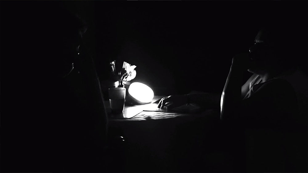 PÁJAROS DE LA NOCHE