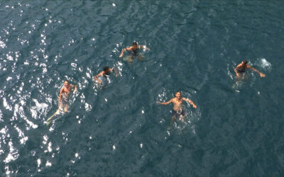 SOUS LE FEU / BAJO EL FUEGO