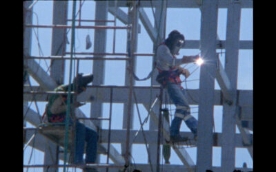 LOS DOS LADOS DE LA TORTUGA