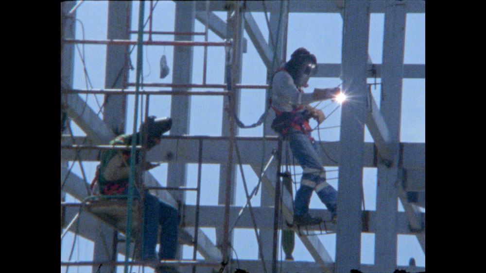 LOS DOS LADOS DE LA TORTUGA